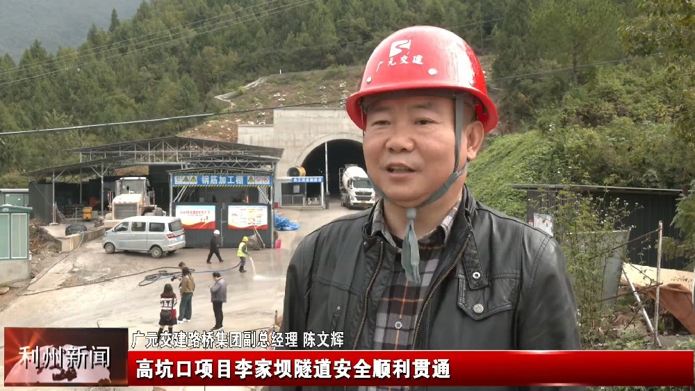 �������ű���������ʱ�������ǲ����Ÿ߿ӿ���Ŀ��Ұ�����˳������